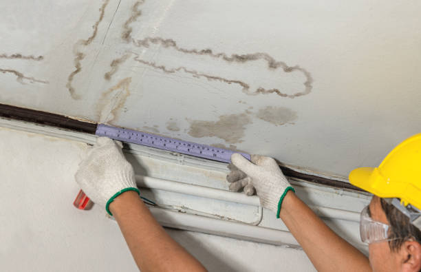 Reliable Mold Remediation contractor in Fairfield, IL by Water Damage Irwin